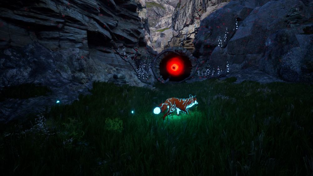 spirit of the north recensione